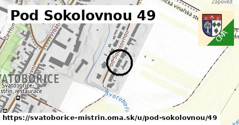 Pod Sokolovnou 49, Svatobořice-Mistřín