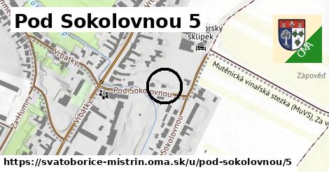 Pod Sokolovnou 5, Svatobořice-Mistřín