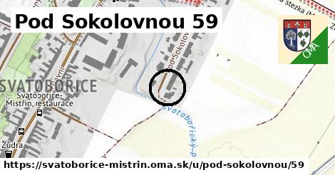 Pod Sokolovnou 59, Svatobořice-Mistřín