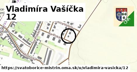 Vladimíra Vašíčka 12, Svatobořice-Mistřín