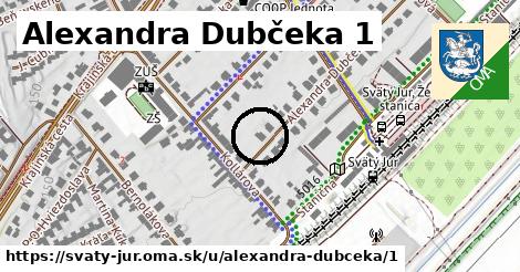 Alexandra Dubčeka 1, Svätý Jur