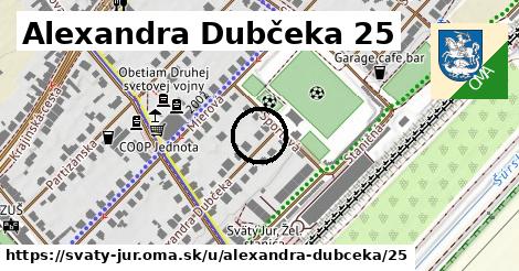 Alexandra Dubčeka 25, Svätý Jur