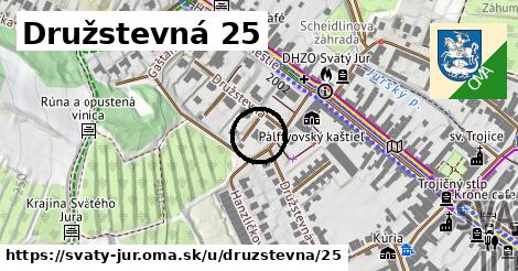 Družstevná 25, Svätý Jur