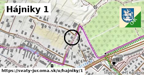 Hájniky 1, Svätý Jur