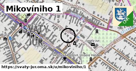 Mikovíniho 1, Svätý Jur