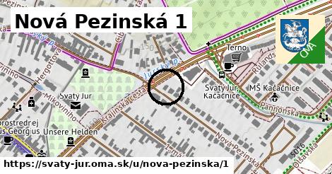 Nová Pezinská 1, Svätý Jur