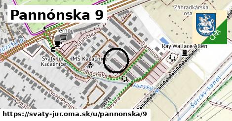 Pannónska 9, Svätý Jur