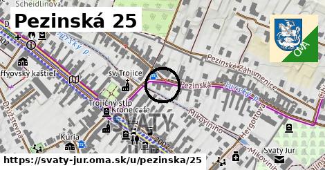 Pezinská 25, Svätý Jur