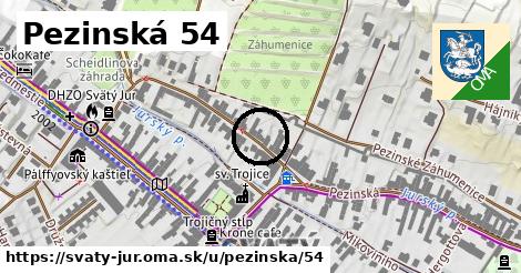 Pezinská 54, Svätý Jur