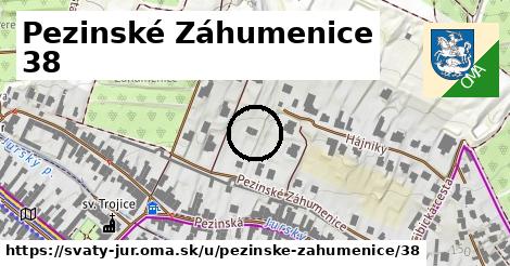 Pezinské Záhumenice 38, Svätý Jur