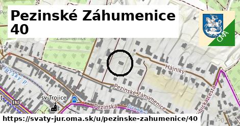 Pezinské Záhumenice 40, Svätý Jur