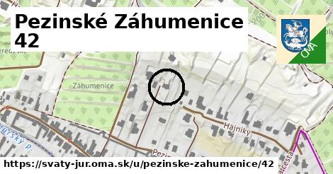 Pezinské Záhumenice 42, Svätý Jur