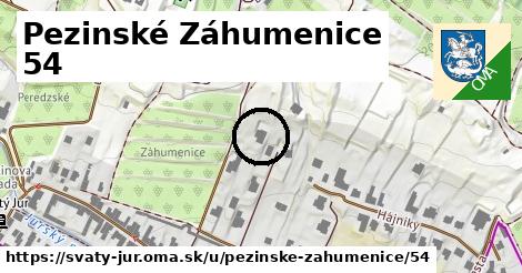 Pezinské Záhumenice 54, Svätý Jur