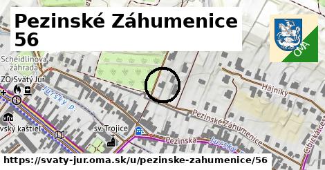 Pezinské Záhumenice 56, Svätý Jur