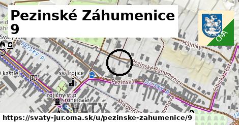 Pezinské Záhumenice 9, Svätý Jur