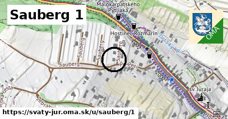 Sauberg 1, Svätý Jur