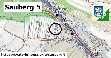 Sauberg 5, Svätý Jur