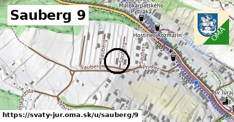 Sauberg 9, Svätý Jur