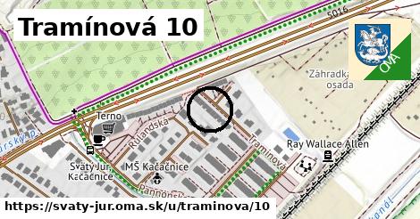 Tramínová 10, Svätý Jur