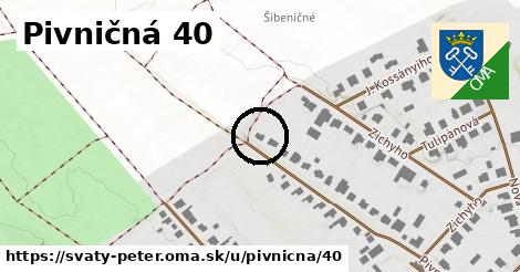 Pivničná 40, Svätý Peter