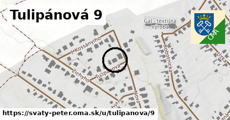 Tulipánová 9, Svätý Peter