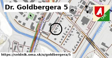 Dr. Goldbergera 5, Svidník