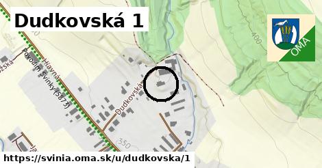 Dudkovská 1, Svinia