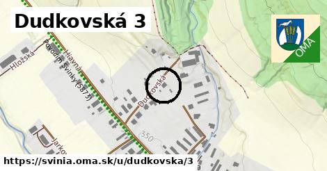 Dudkovská 3, Svinia