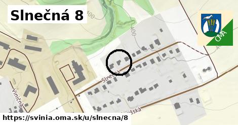 Slnečná 8, Svinia