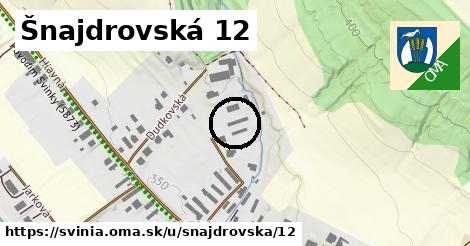 Šnajdrovská 12, Svinia