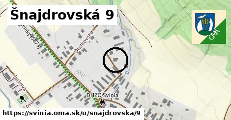 Šnajdrovská 9, Svinia
