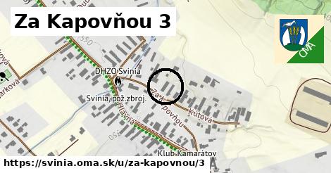 Za Kapovňou 3, Svinia