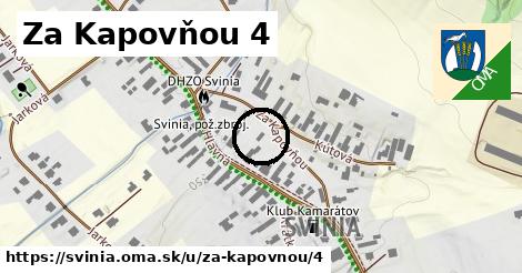 Za Kapovňou 4, Svinia
