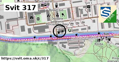Svit <span class="supisne">317</span>