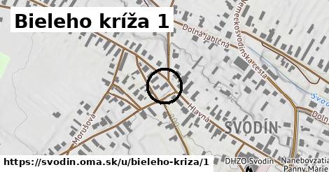 Bieleho kríža 1, Svodín