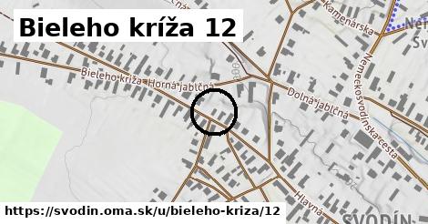 Bieleho kríža 12, Svodín