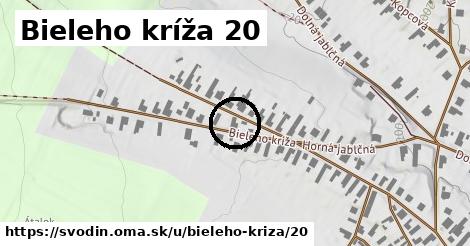 Bieleho kríža 20, Svodín