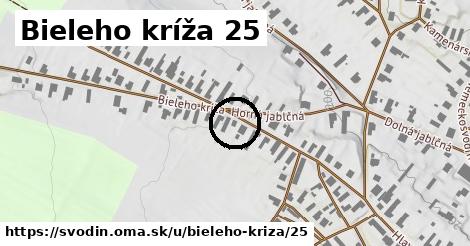 Bieleho kríža 25, Svodín