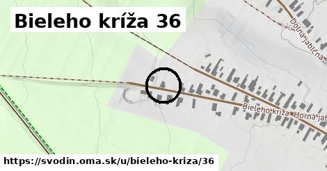 Bieleho kríža 36, Svodín