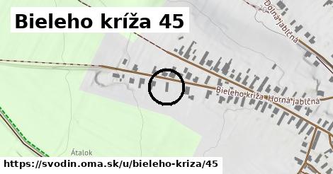 Bieleho kríža 45, Svodín