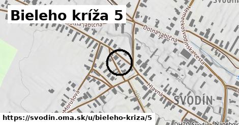 Bieleho kríža 5, Svodín