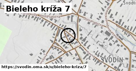 Bieleho kríža 7, Svodín