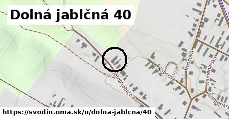 Dolná jablčná 40, Svodín