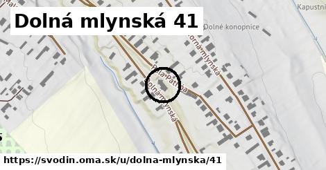 Dolná mlynská 41, Svodín