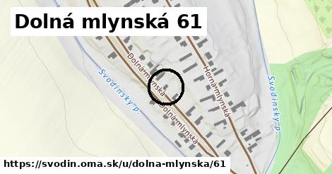 Dolná mlynská 61, Svodín