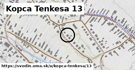 Kopca Tenkesa 13, Svodín