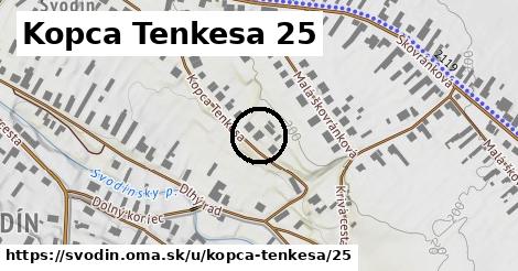 Kopca Tenkesa 25, Svodín