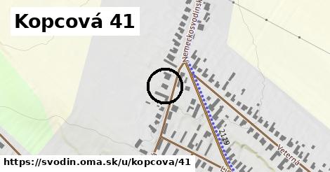 Kopcová 41, Svodín