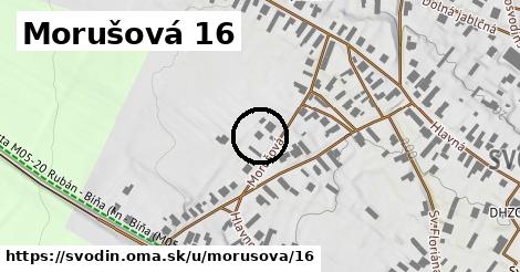 Morušová 16, Svodín