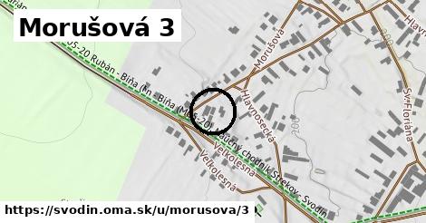 Morušová 3, Svodín